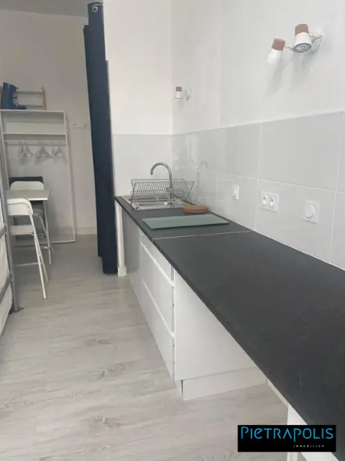 Terrenoire Loire appartement foto 7132045