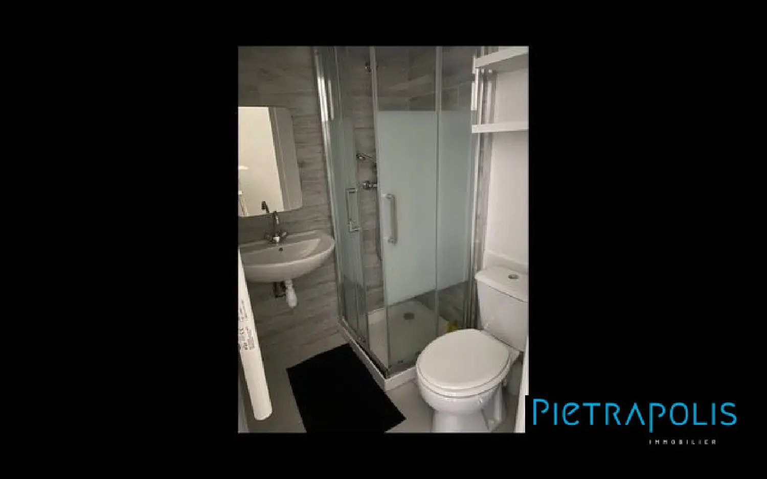  te koop appartement Terrenoire Loire 5