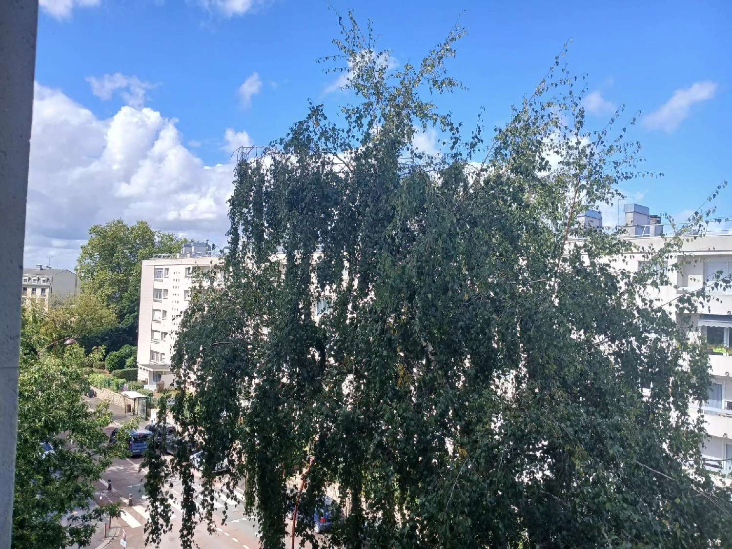  for sale apartment Versailles Yvelines 2