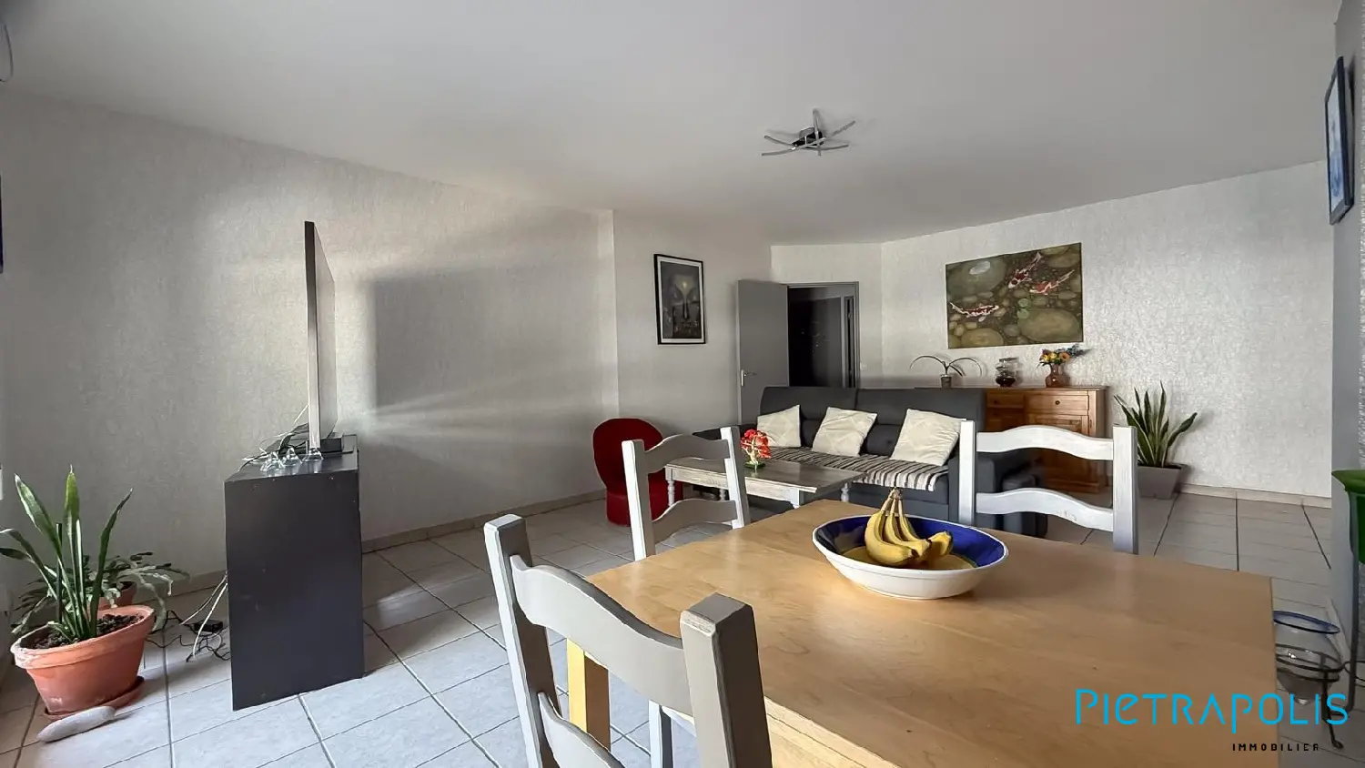  te koop appartement Villeurbanne Rhône 4
