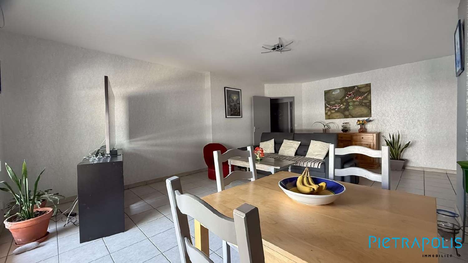  te koop appartement Villeurbanne Rhône 4