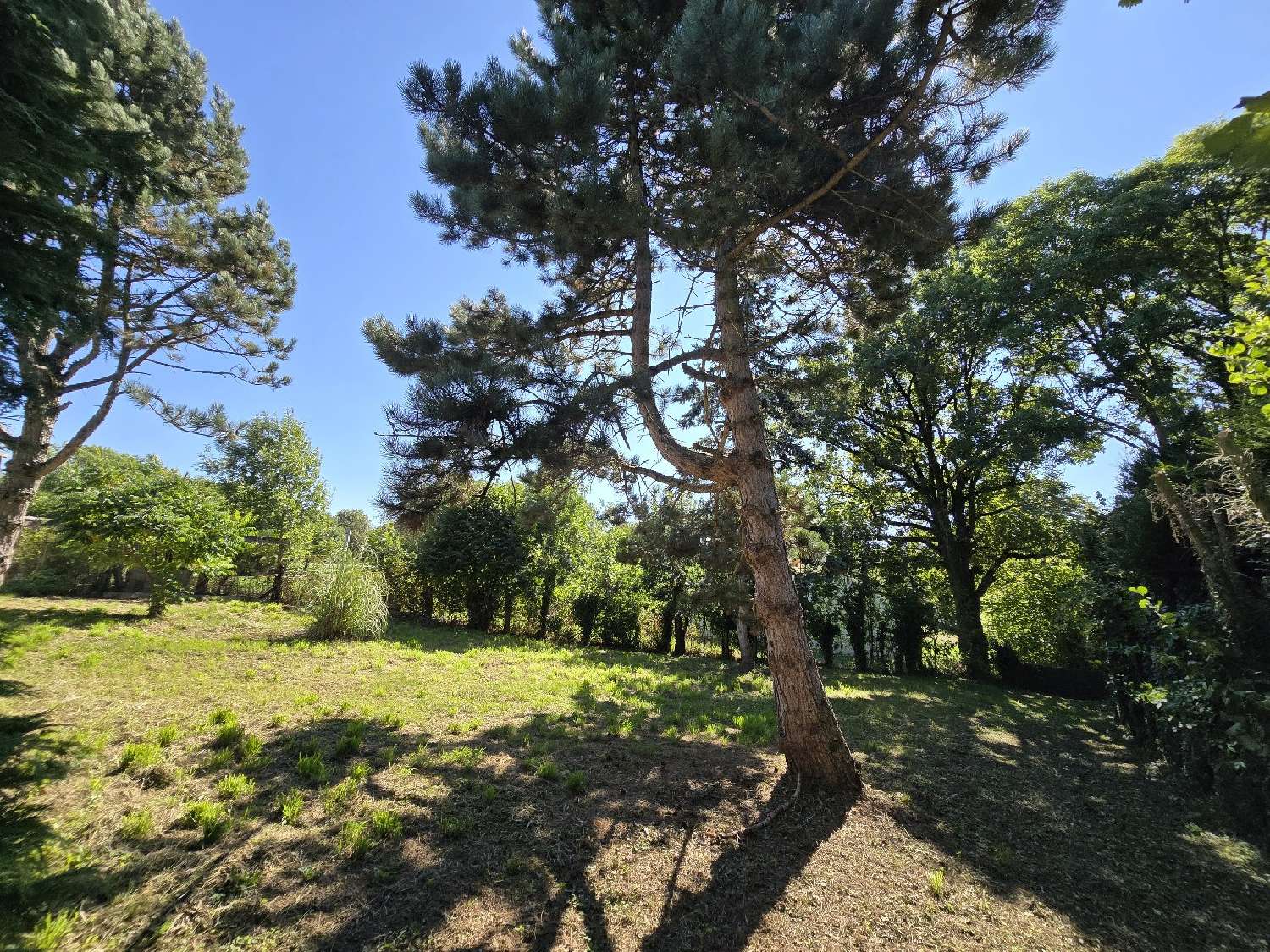  for sale barn Pont-de-Salars Aveyron 5