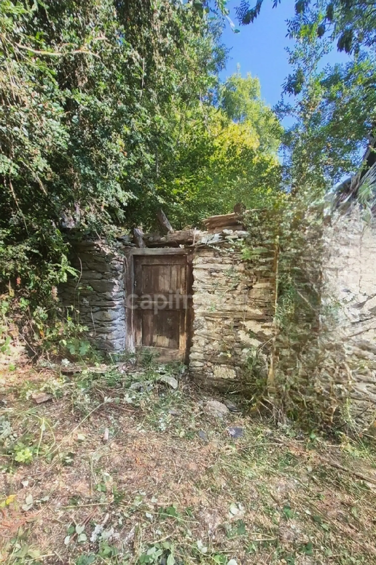  te koop schuur Vielle-Aure Hautes-Pyrénées 3