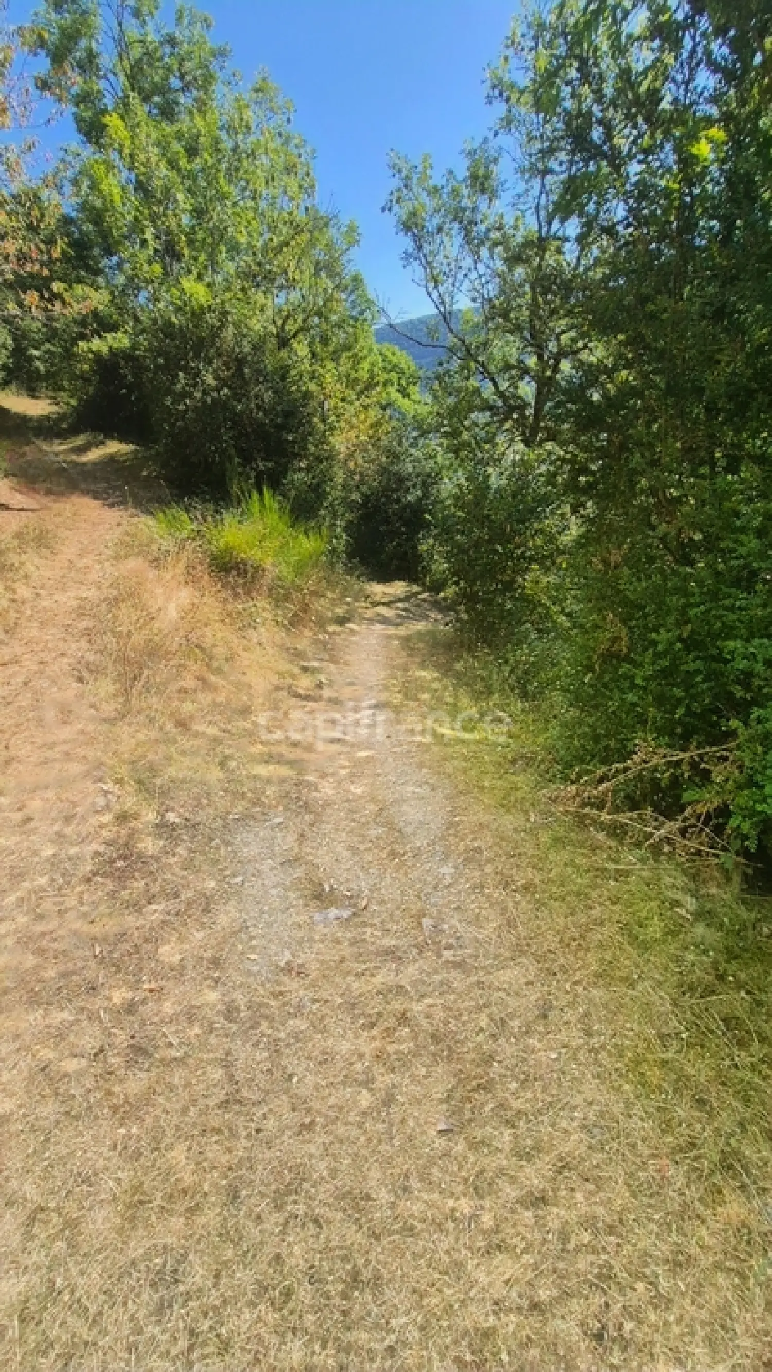  te koop schuur Vielle-Aure Hautes-Pyrénées 7