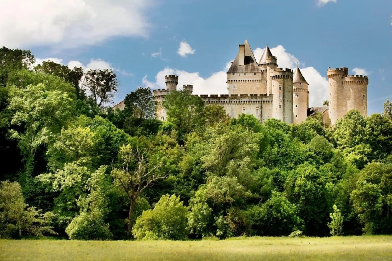  te koop kasteel Châtillon-sur-Indre Indre 7