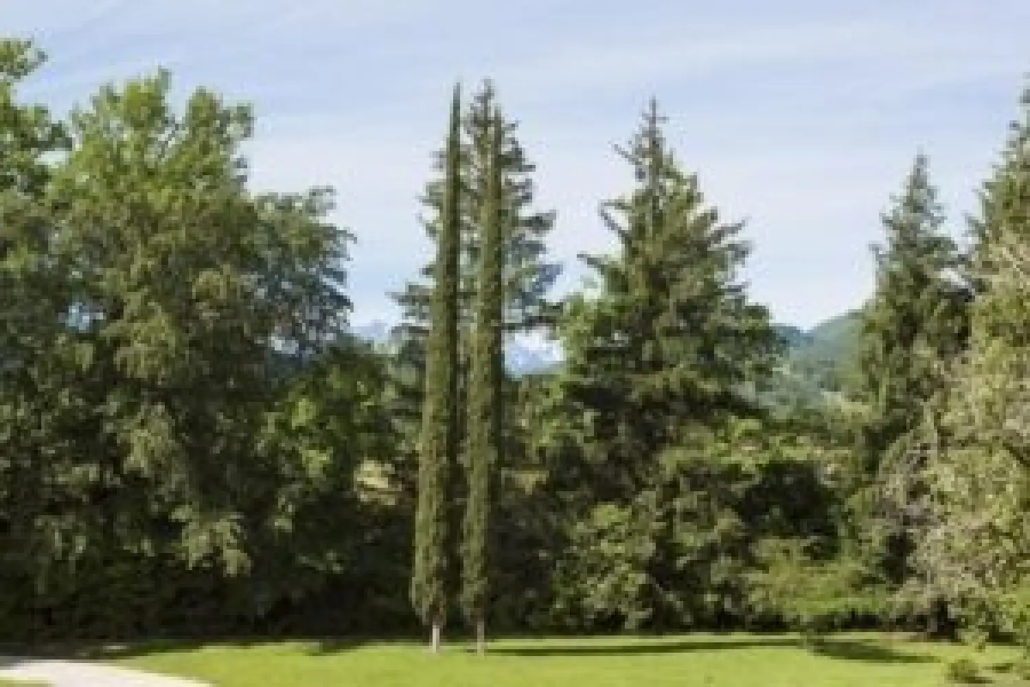  à vendre château Toulouse 31500 Haute-Garonne 3