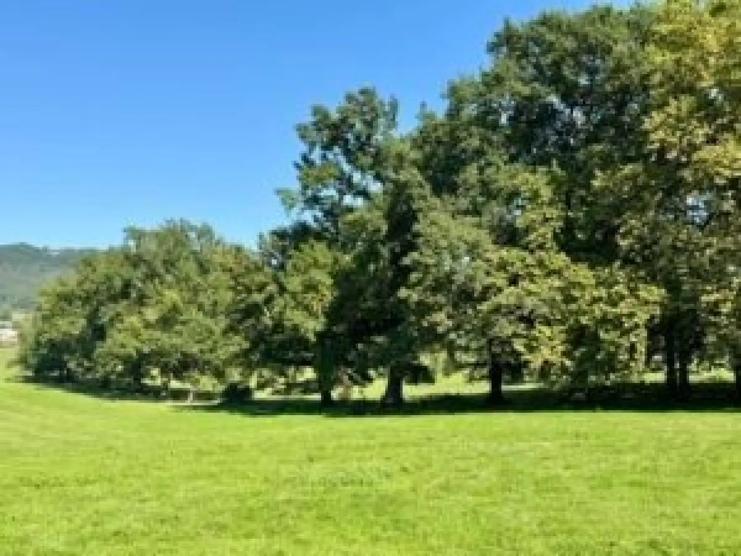  à vendre château Toulouse 31500 Haute-Garonne 5