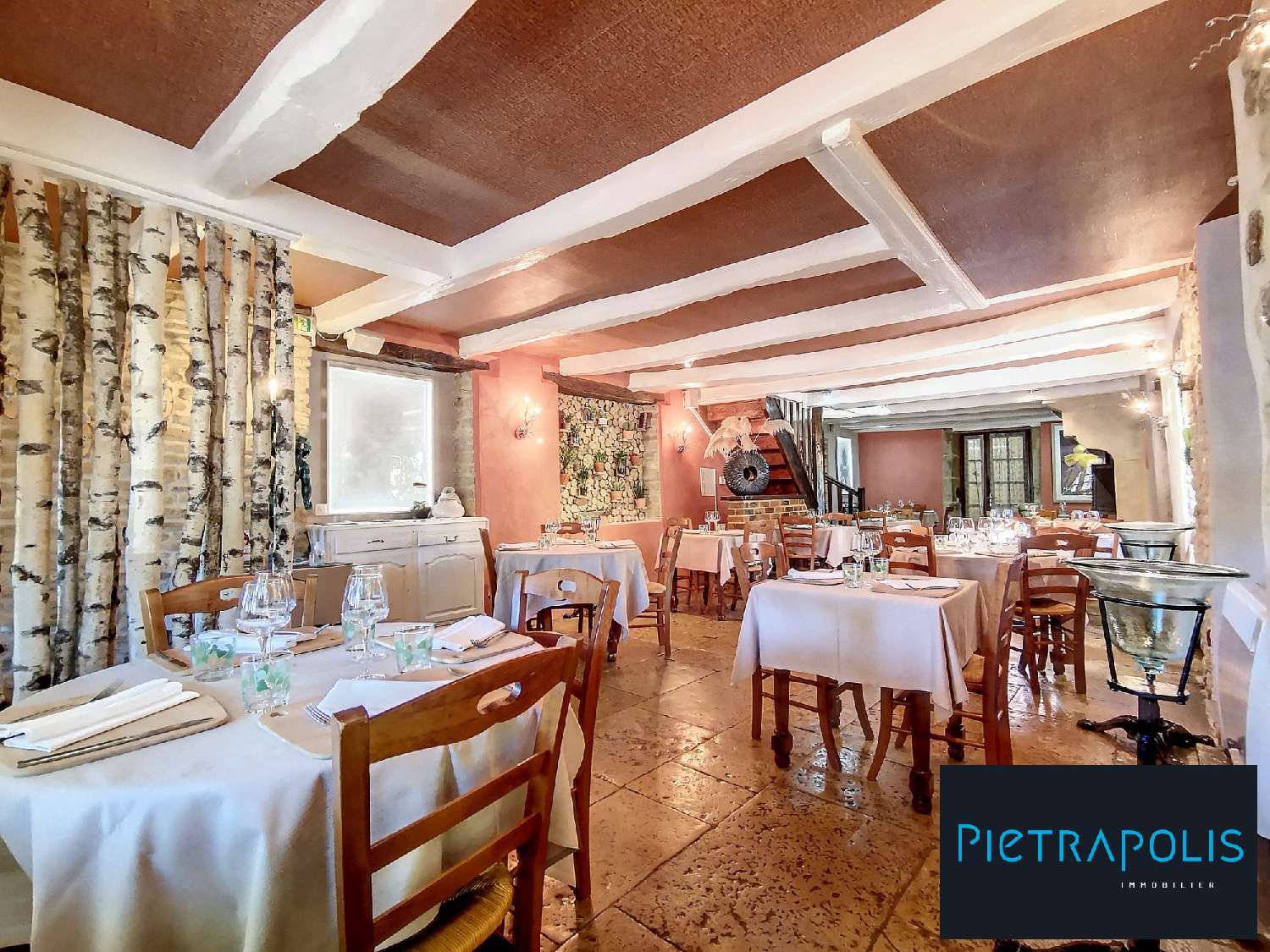 for sale commercial Montsaugeon Haute-Marne 4