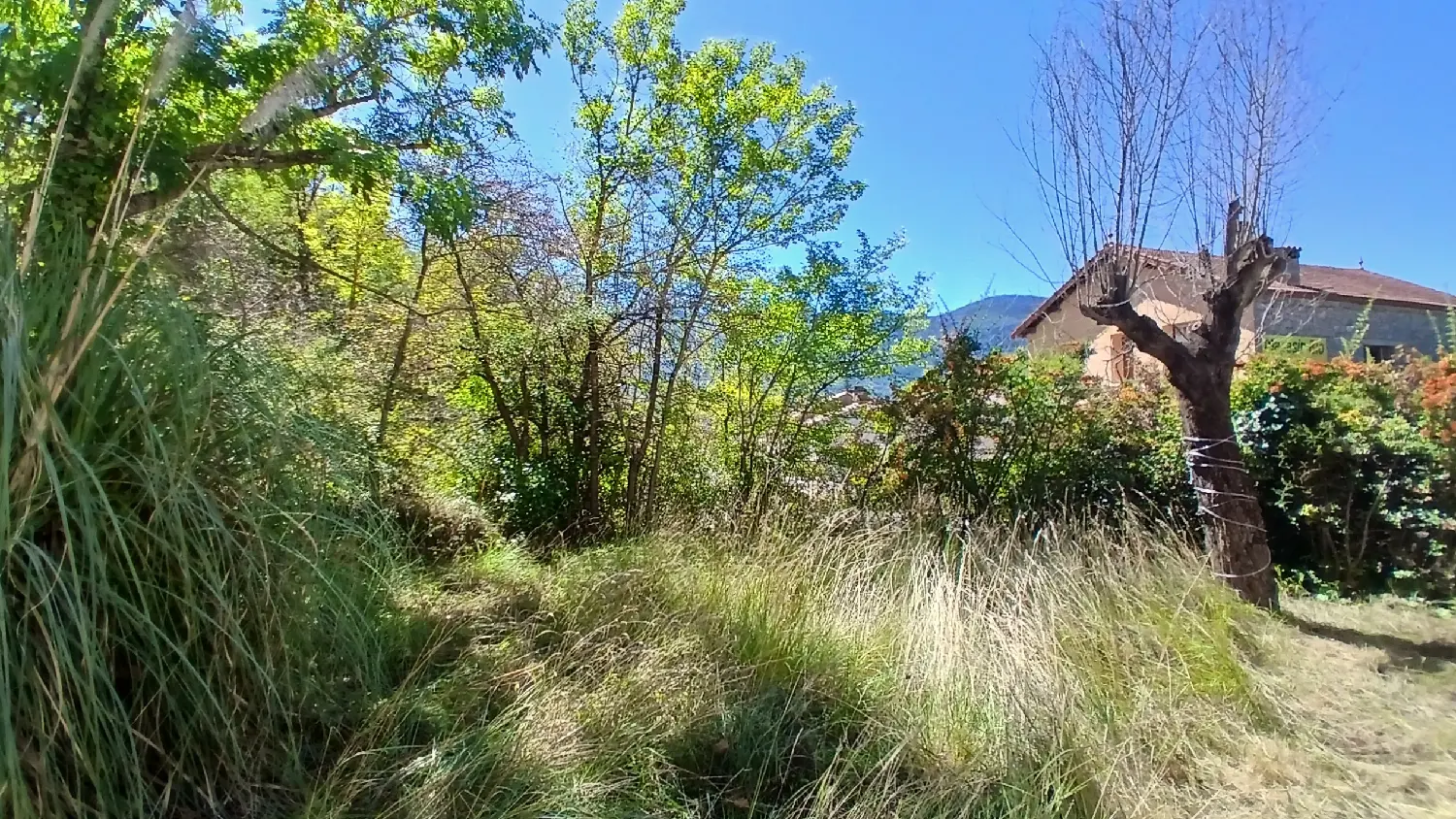  for sale detached house Cournanel Aude 8