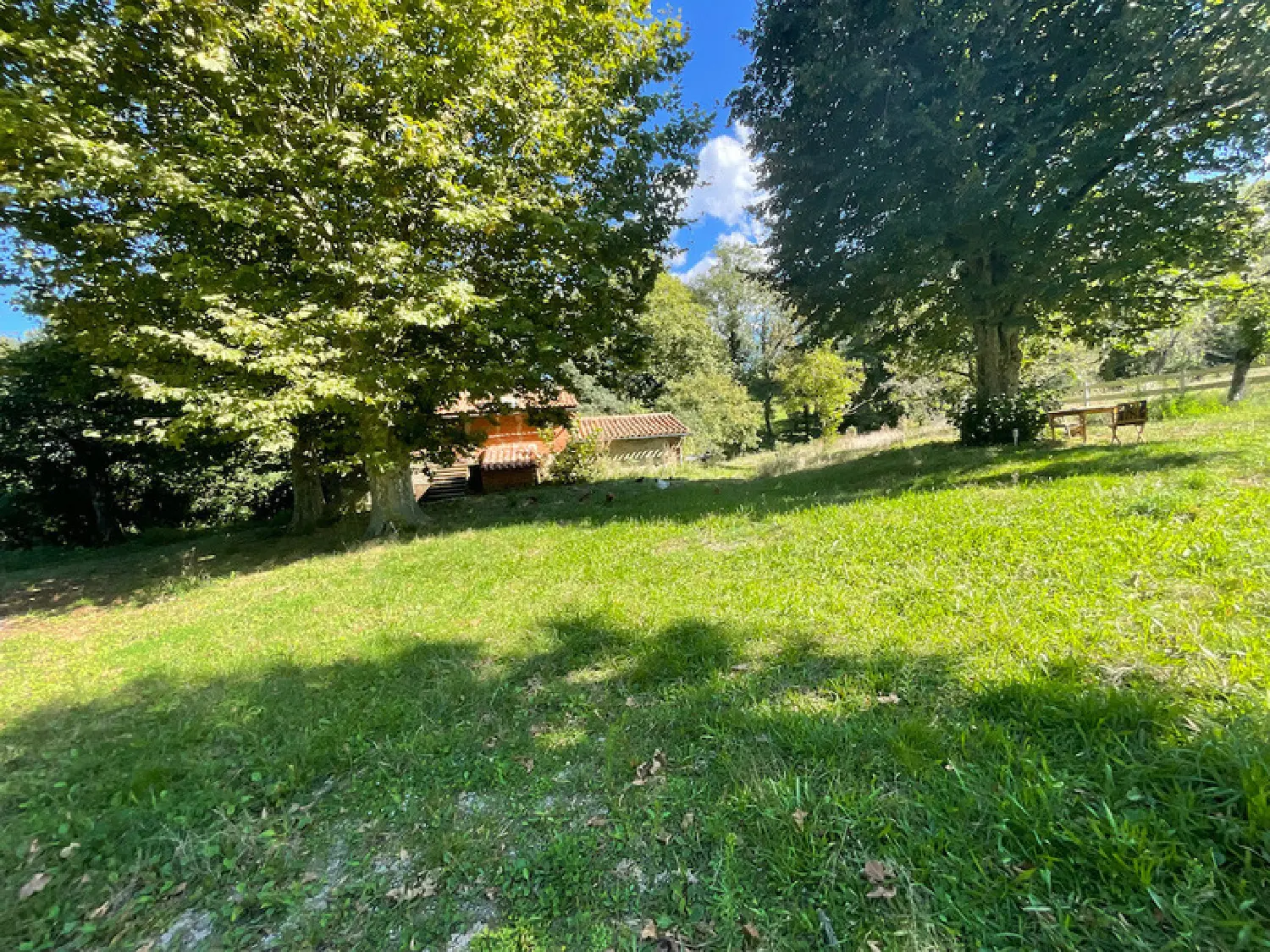  for sale estate Aiguefonde Tarn 4