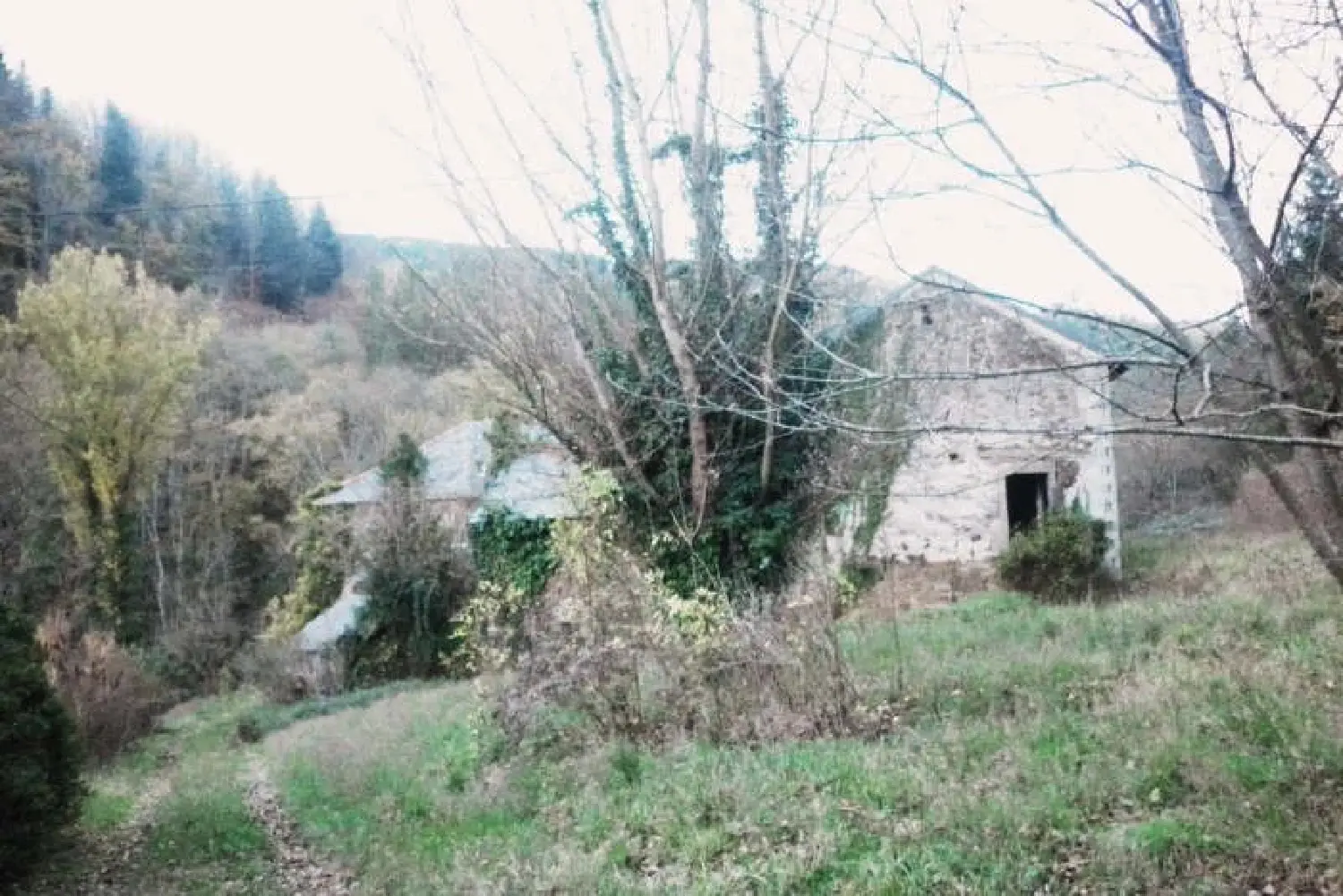  en venta finca rústica Alban Tarn 2