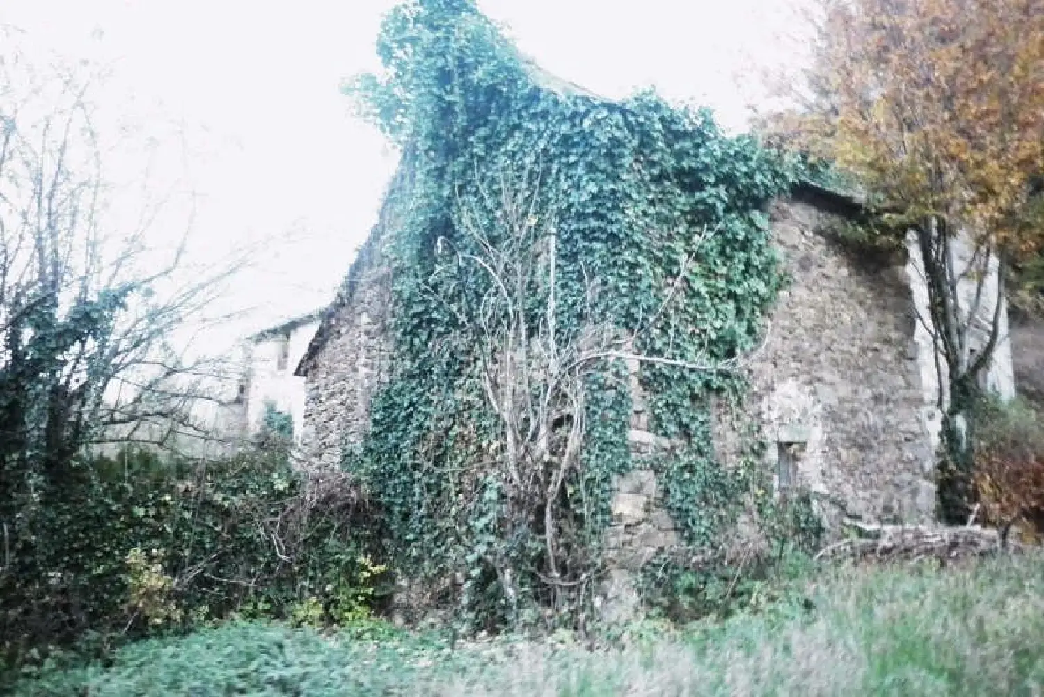  en venta finca rústica Alban Tarn 3