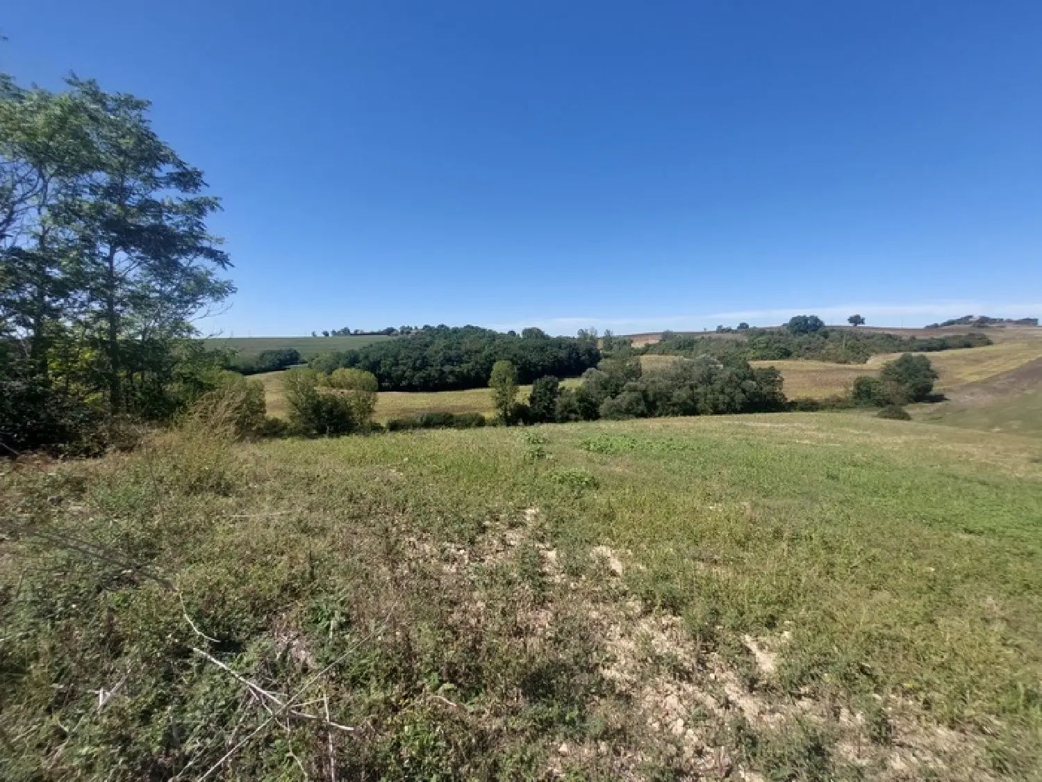  kaufen Landgut Bertre Tarn 8