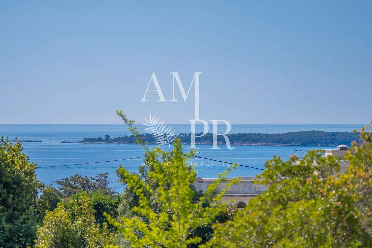  for sale estate Cannes Alpes-Maritimes 2