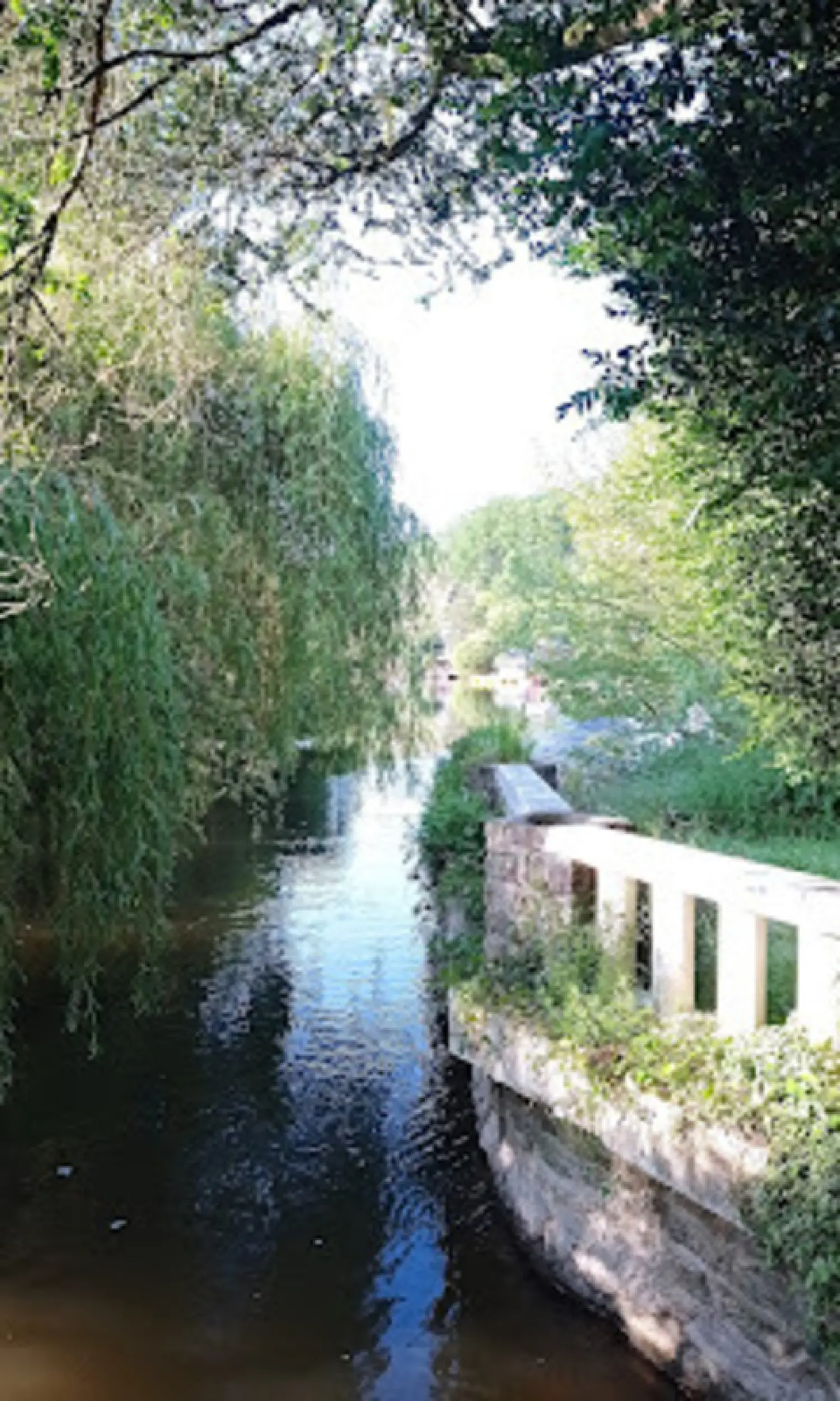  à vendre propriété Clécy Calvados 3