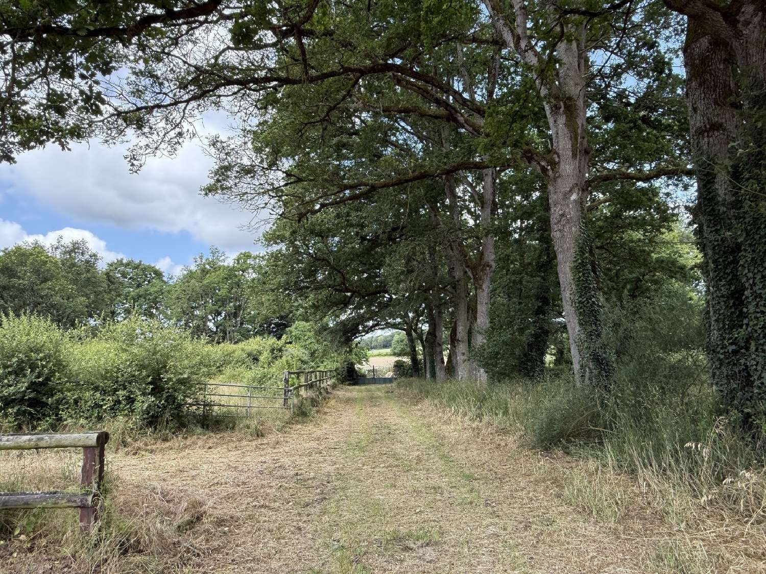  for sale estate Conquereuil Loire-Atlantique 4