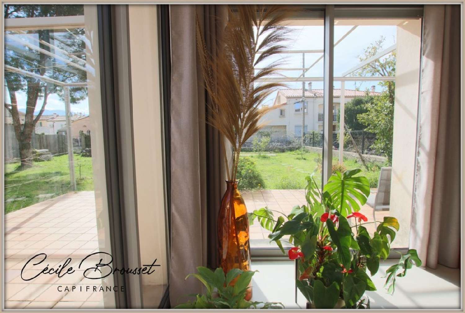  en venta finca rústica Le Boulou Pirineo Oriental 5