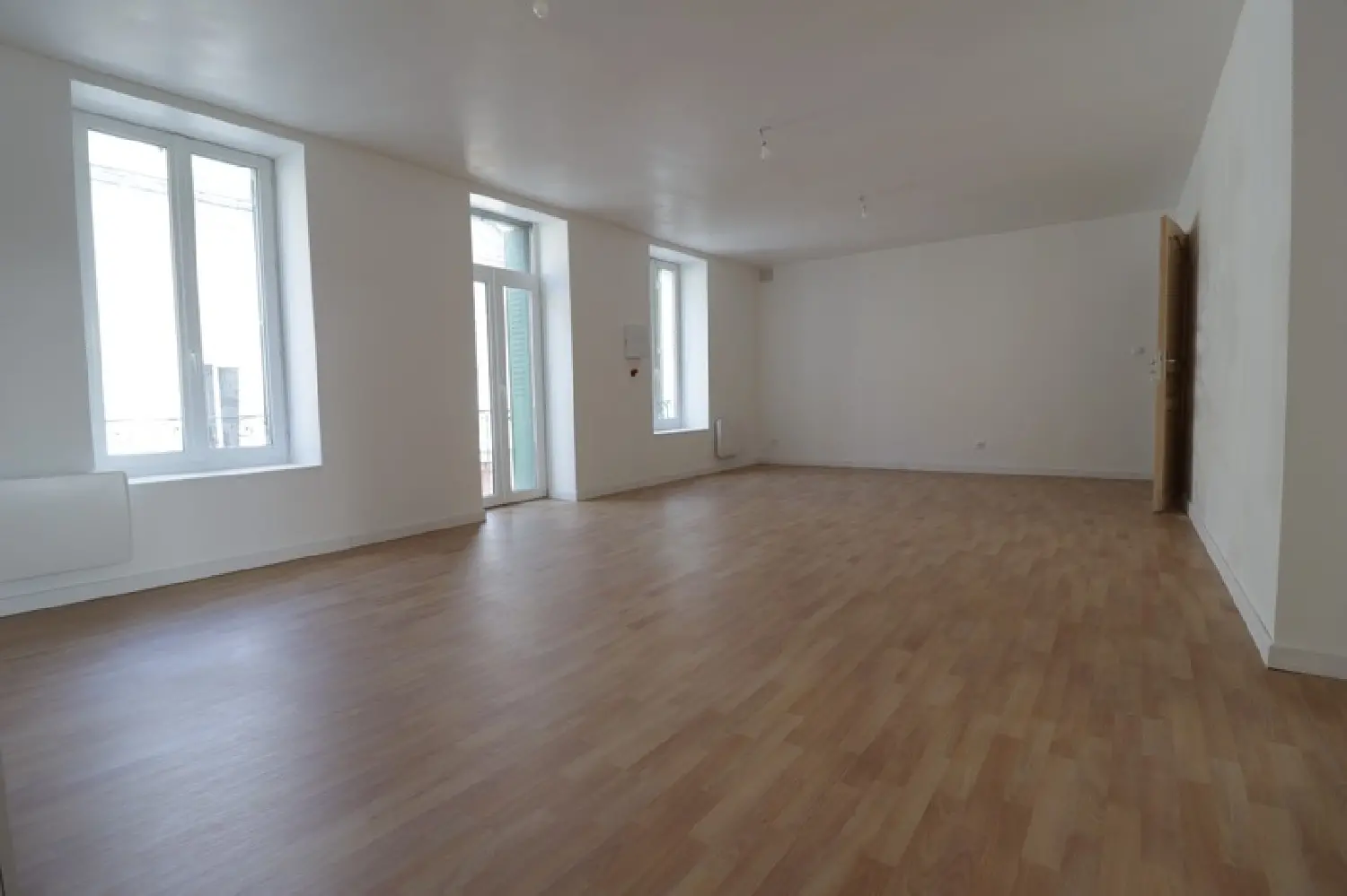  for sale estate Mauriac Cantal 1