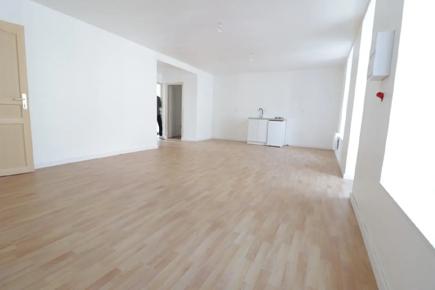  for sale estate Mauriac Cantal 5