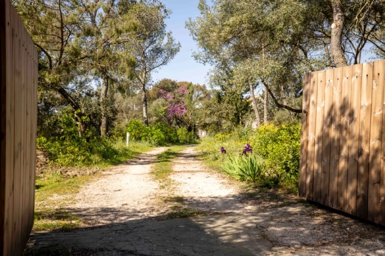  te koop landgoed Nîmes Gard 3