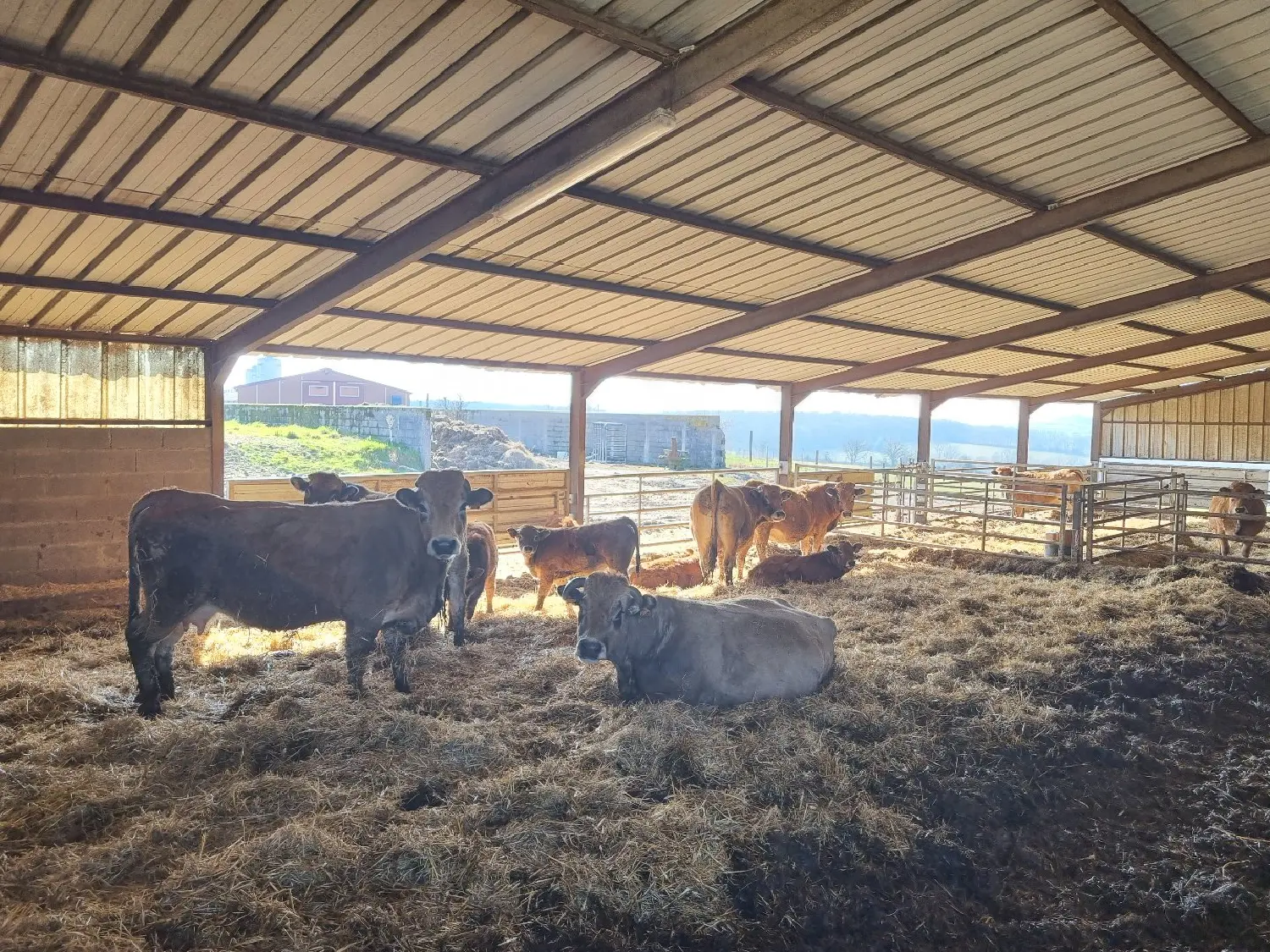  te koop landgoed Noyant-d'Allier Allier 8