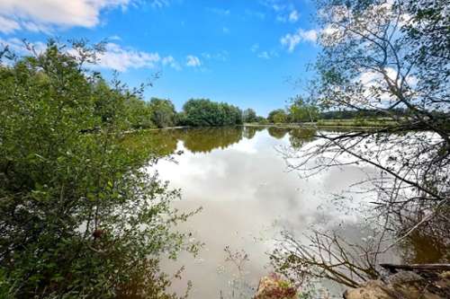 Saint-Maurice-des-Lions Charente landgoed foto 7144832