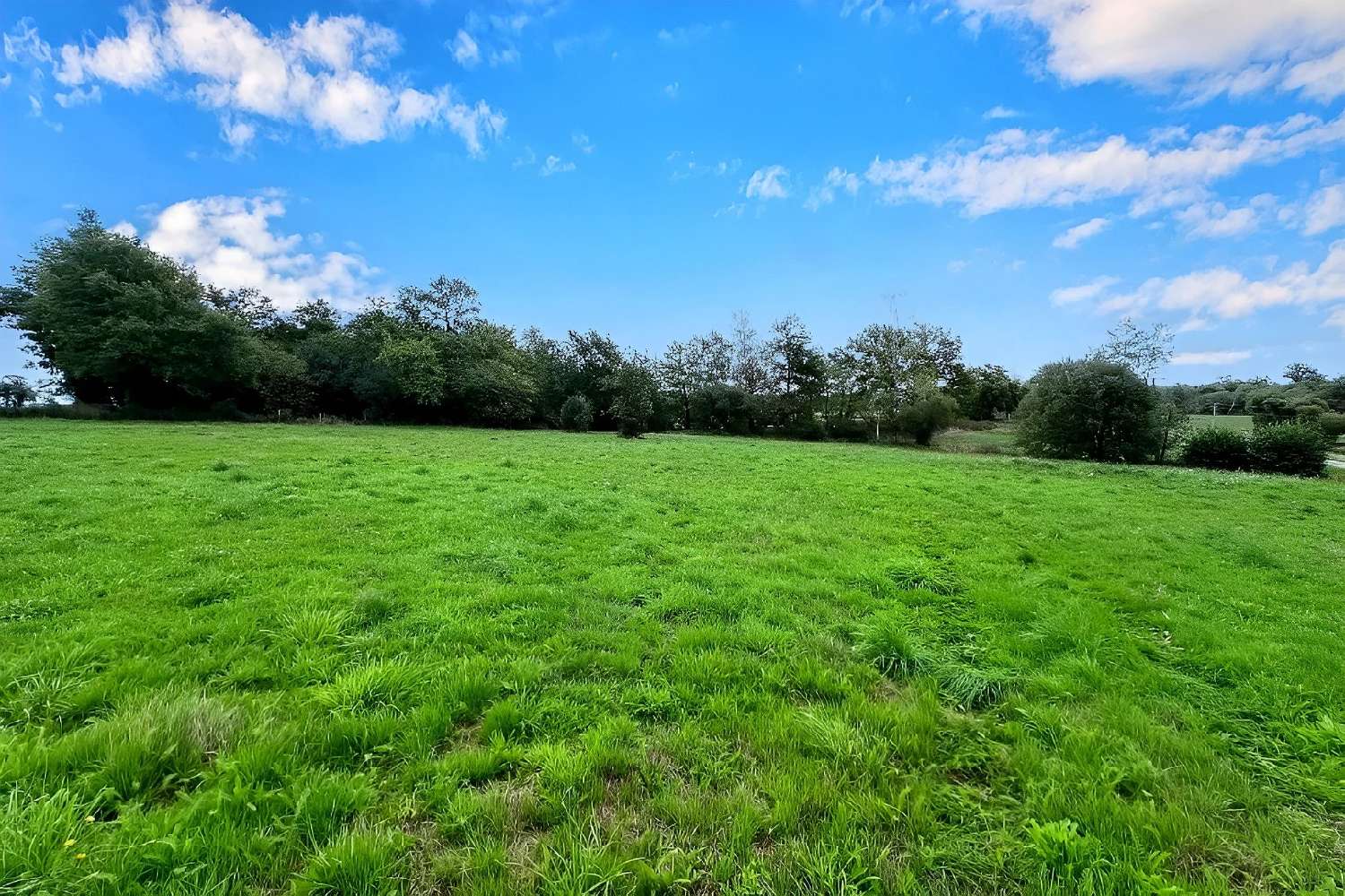 te koop landgoed Saint-Maurice-des-Lions Charente 7