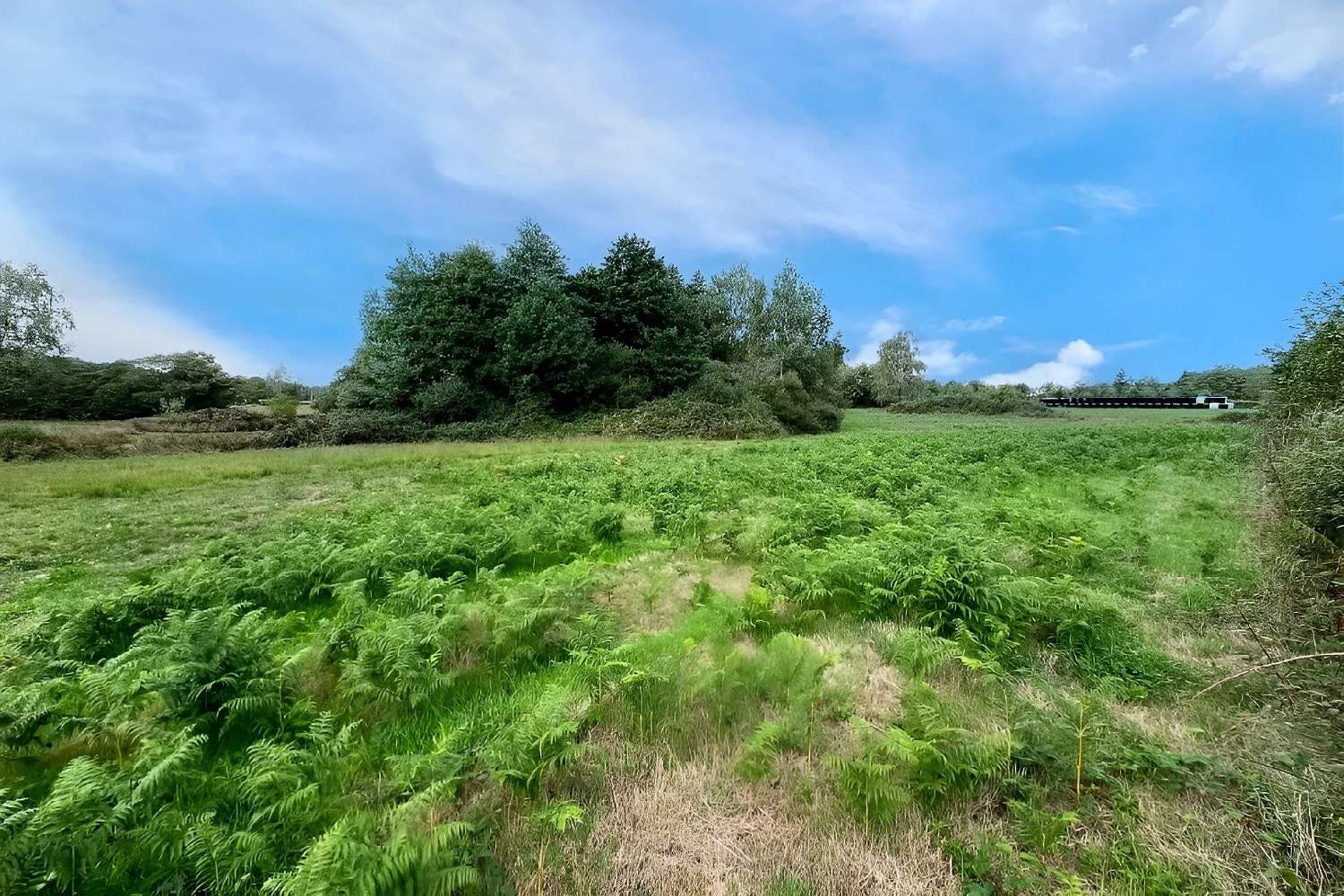  te koop landgoed Saint-Maurice-des-Lions Charente 8