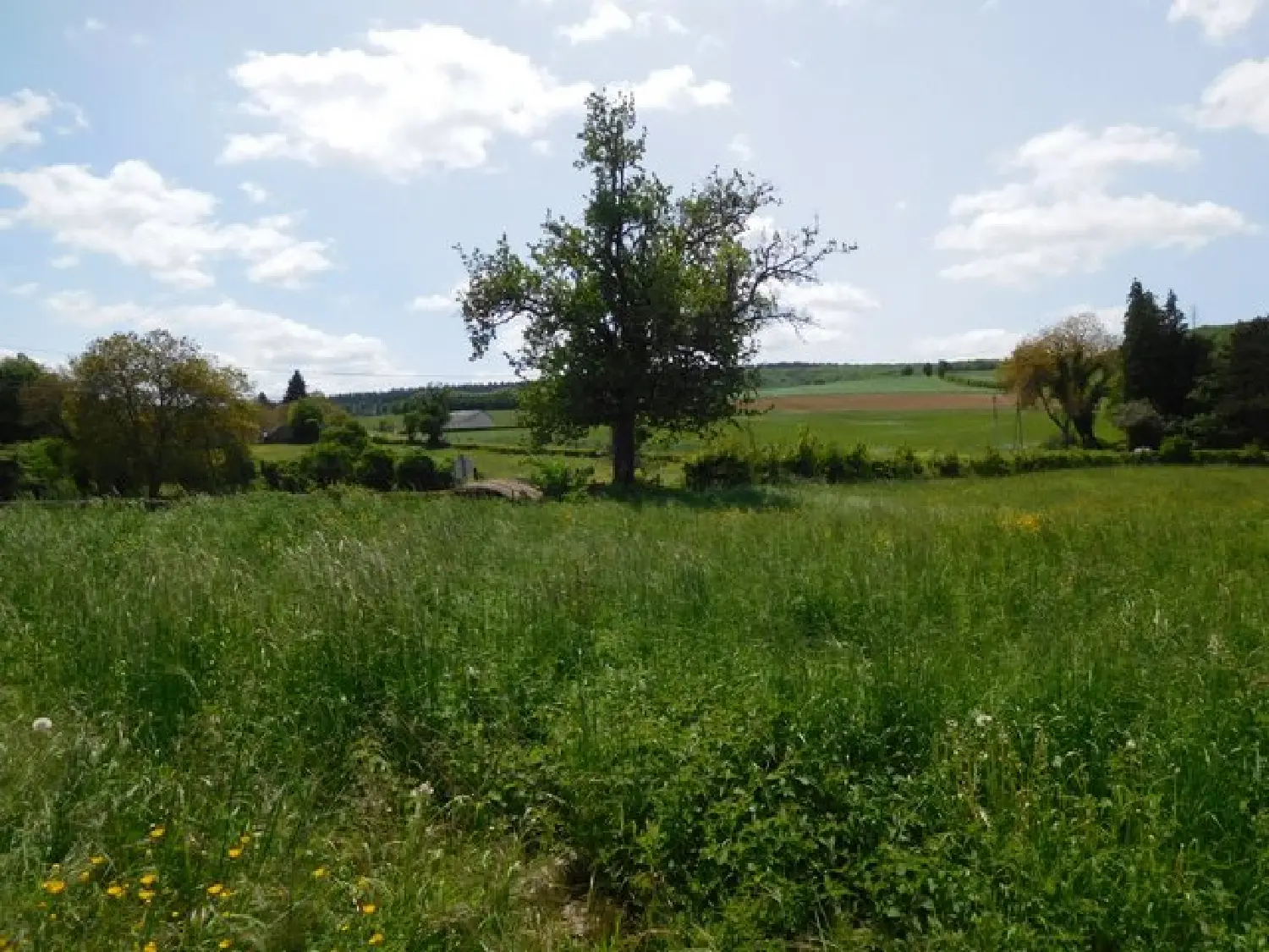  kaufen Bauernhof Bona Nièvre 5
