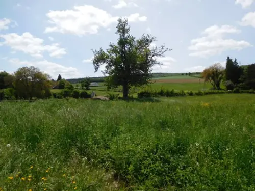  te koop boerderij Bona Nièvre 5