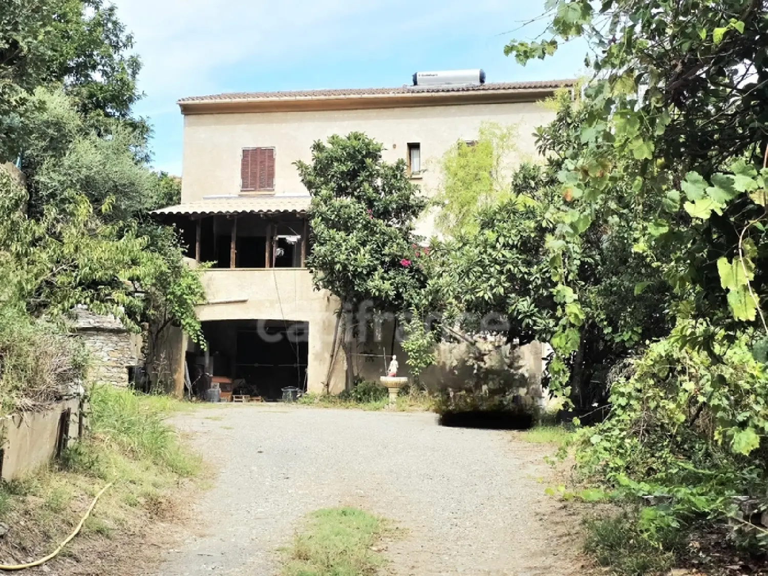  for sale farm Borgo Haute-Corse 2