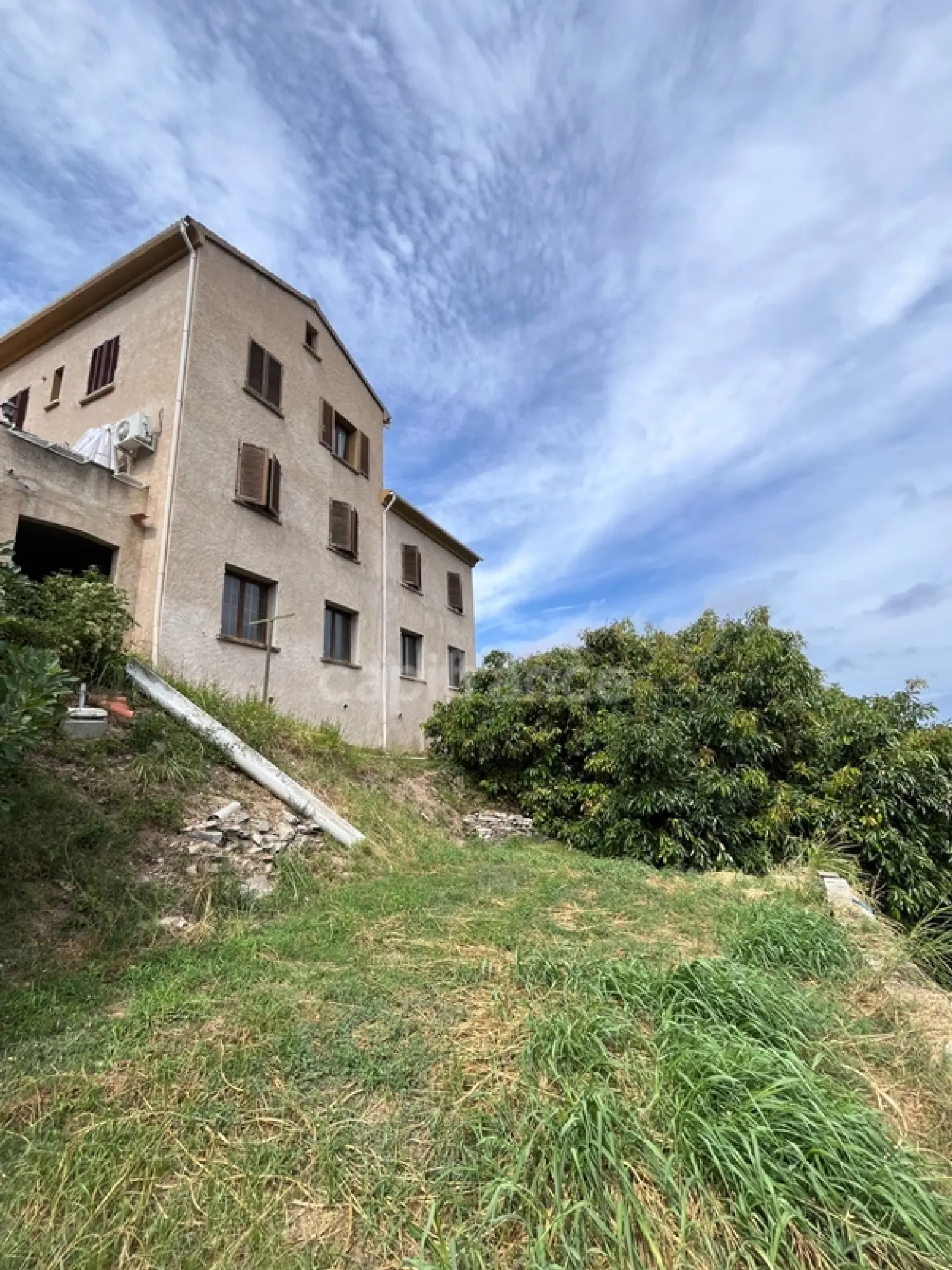  for sale farm Borgo Haute-Corse 3
