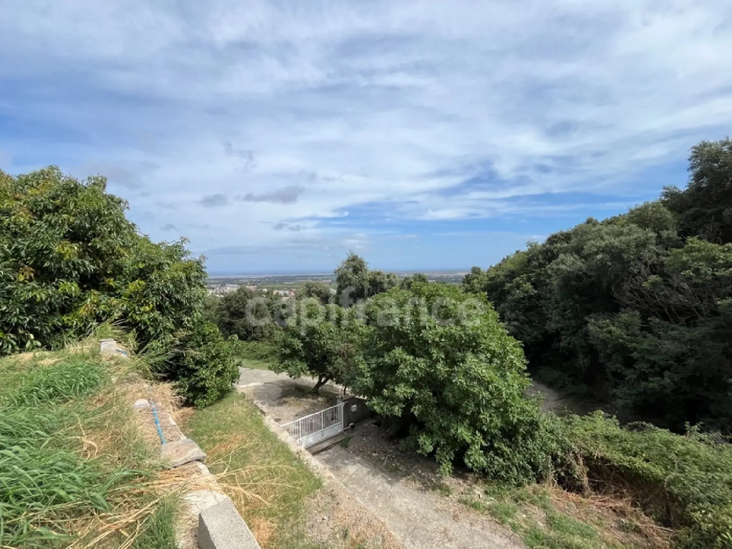 for sale farm Borgo Haute-Corse 4