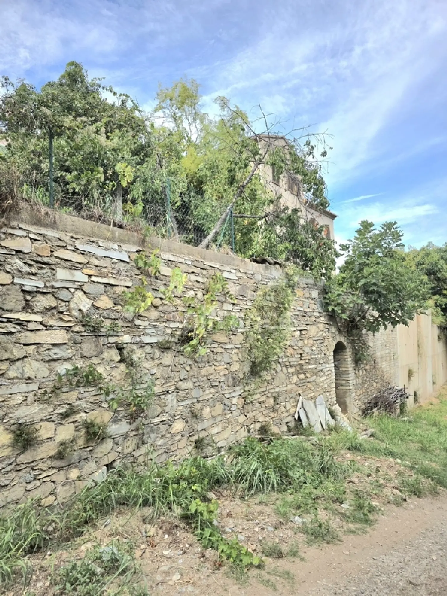  for sale farm Borgo Haute-Corse 5