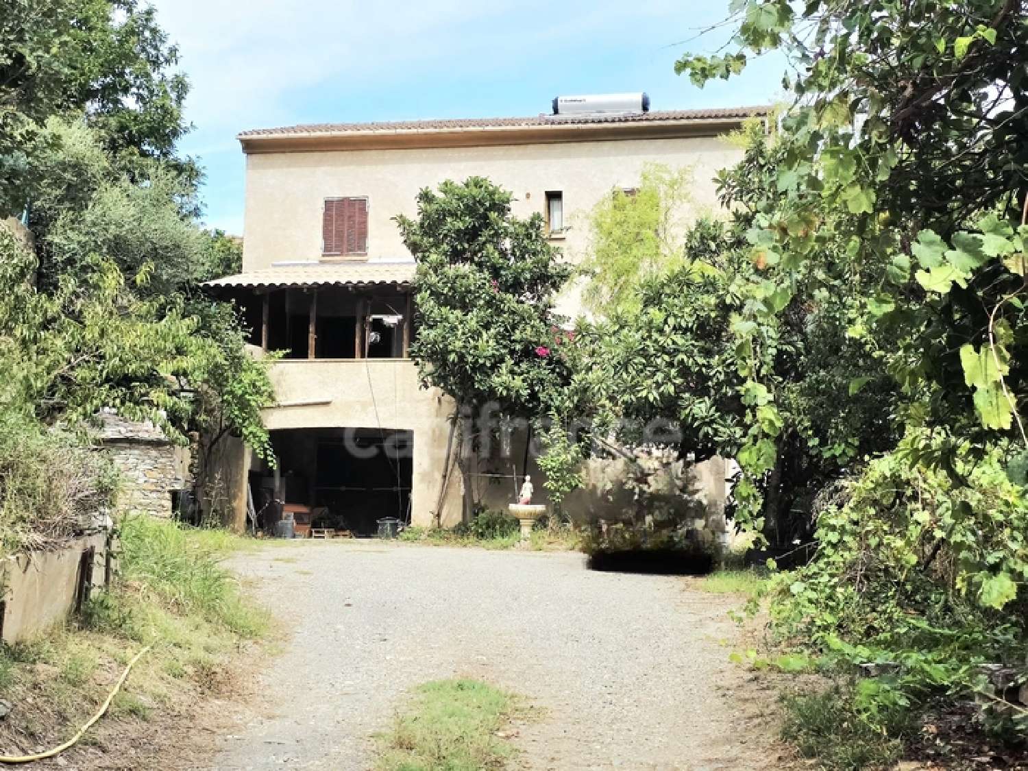  te koop boerderij Borgo Haute-Corse 2