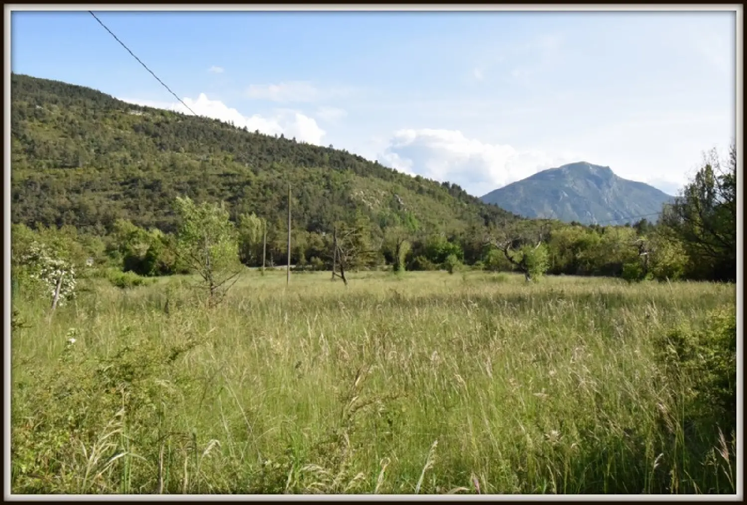  kaufen Bauernhof Castellane Alpes-de-Haute-Provence 8