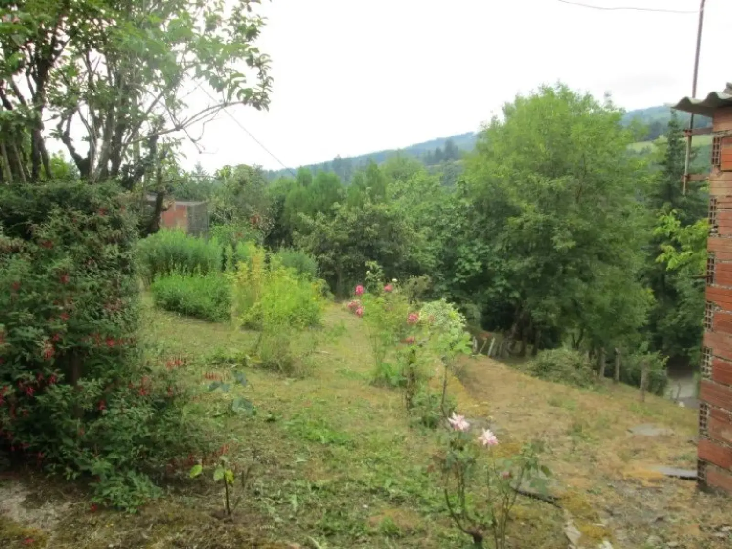  for sale farm Labastide-Rouairoux Tarn 3