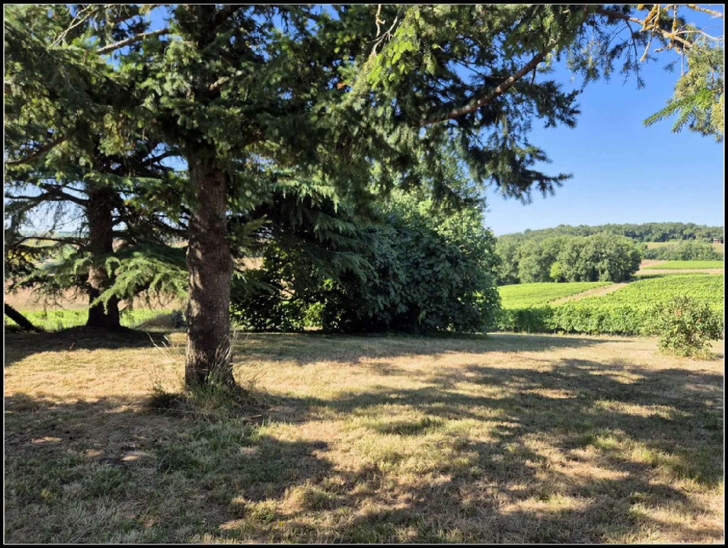  kaufen Bauernhof Laplume Lot-et-Garonne 2