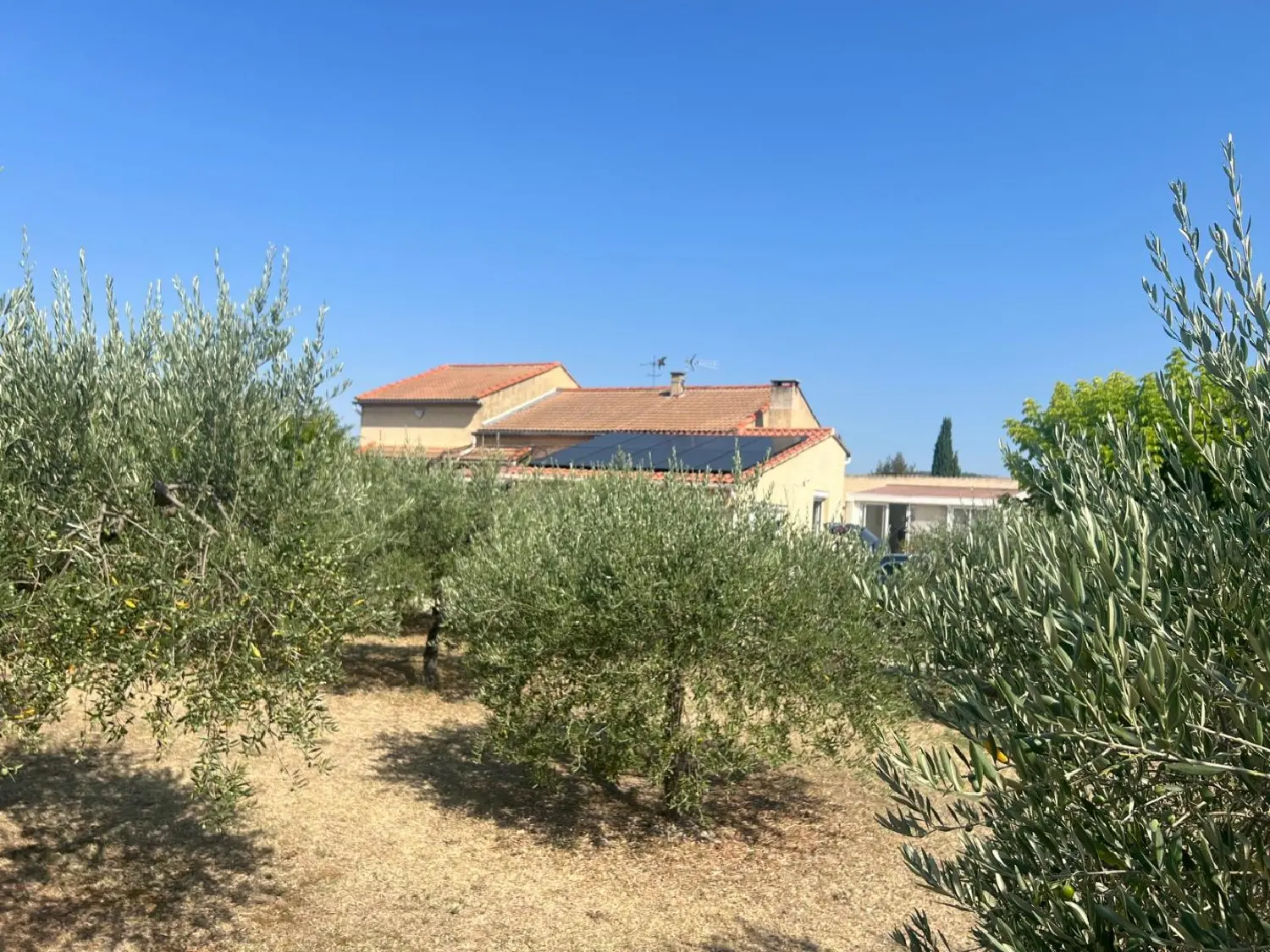  en venta casa rústica Modène Vaucluse 1