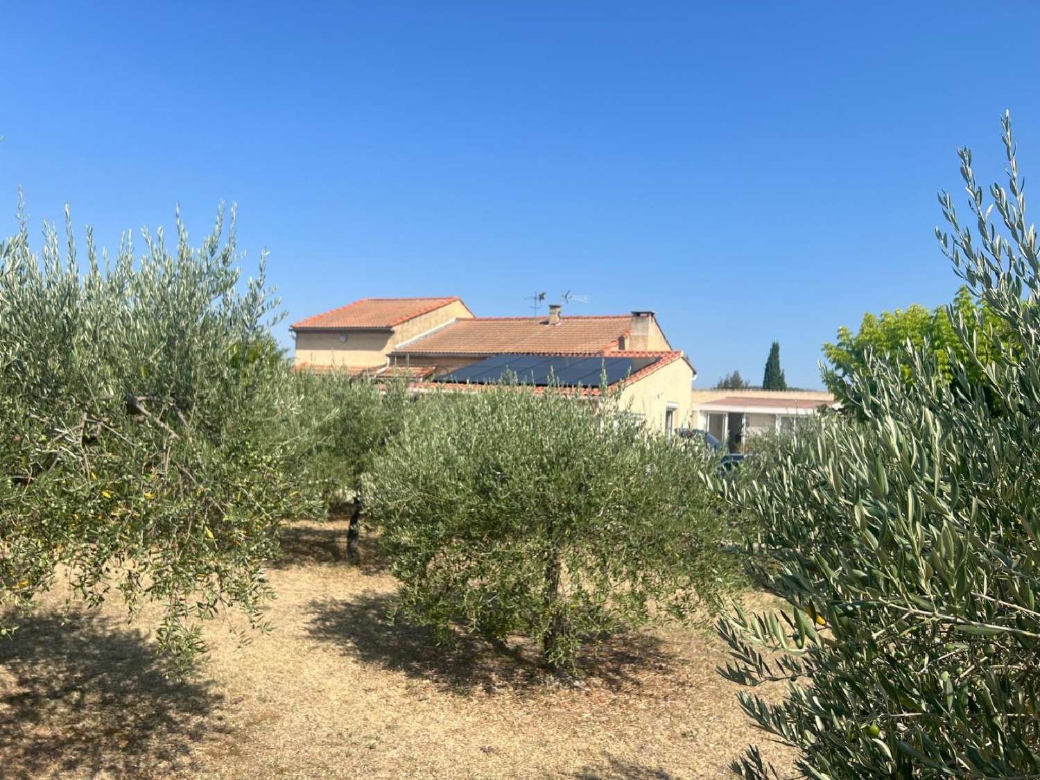  en venta casa rústica Modène Vaucluse 1