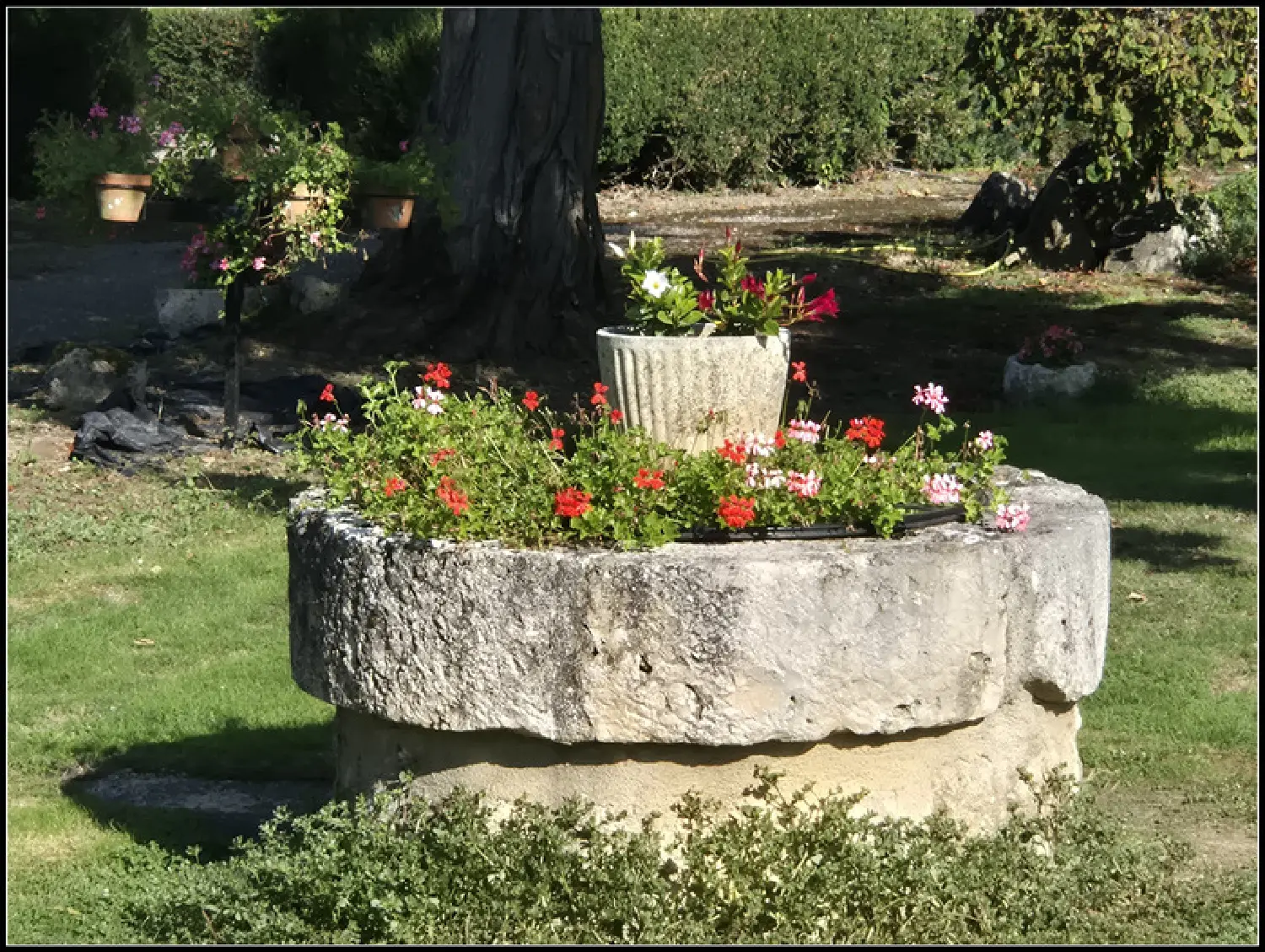  for sale farm Moncrabeau Lot-et-Garonne 8