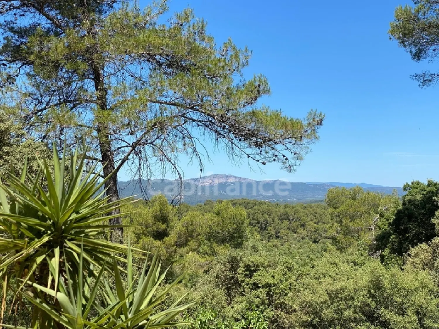  à vendre ferme Montpellier Hérault 1