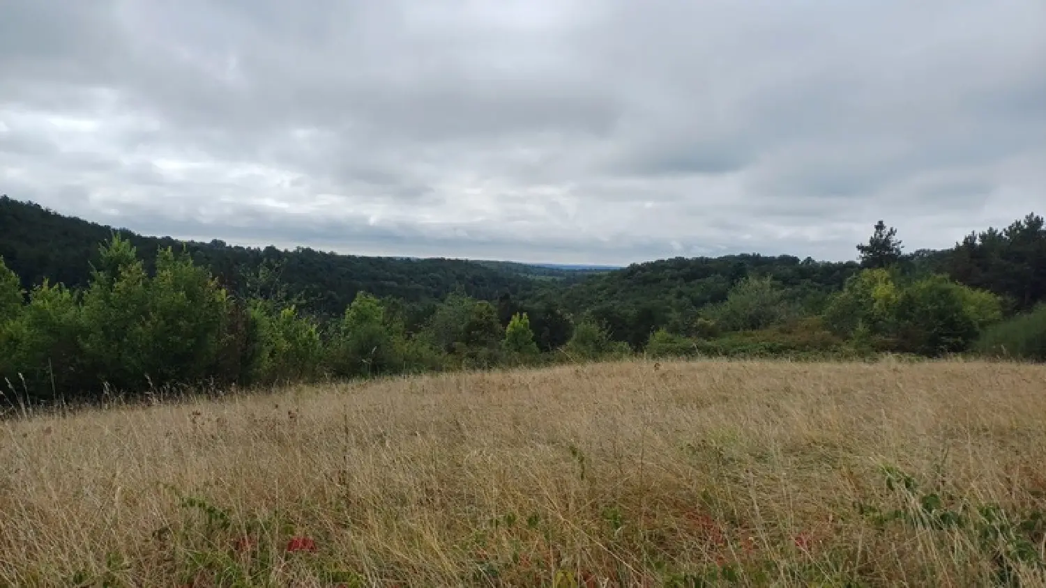  te koop boerderij Périgueux Dordogne 4