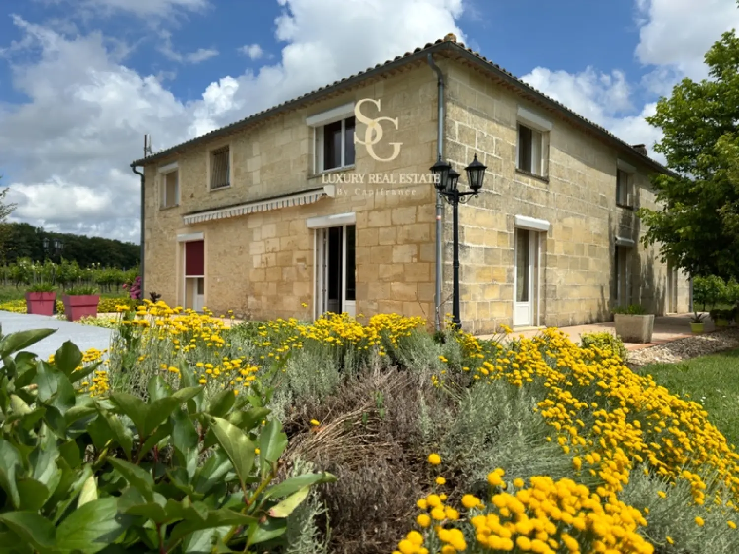  te koop boerderij Saint-Aubin-de-Branne Gironde 1
