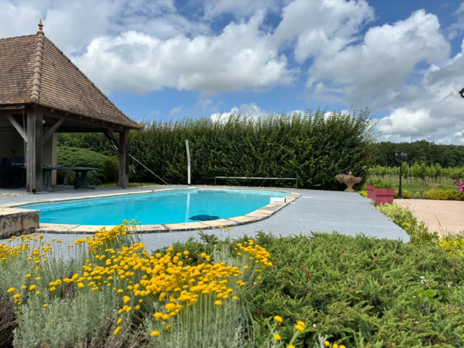  te koop boerderij Saint-Aubin-de-Branne Gironde 6