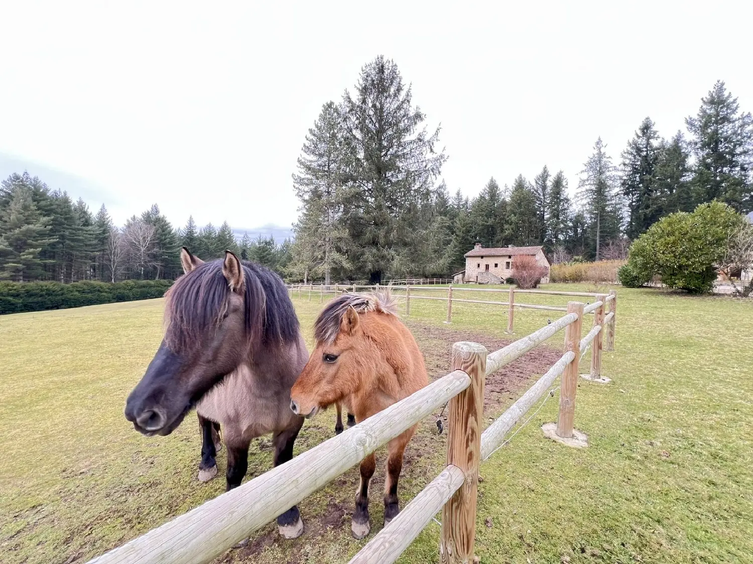  te koop boerderij Saint-Céré Lot 1