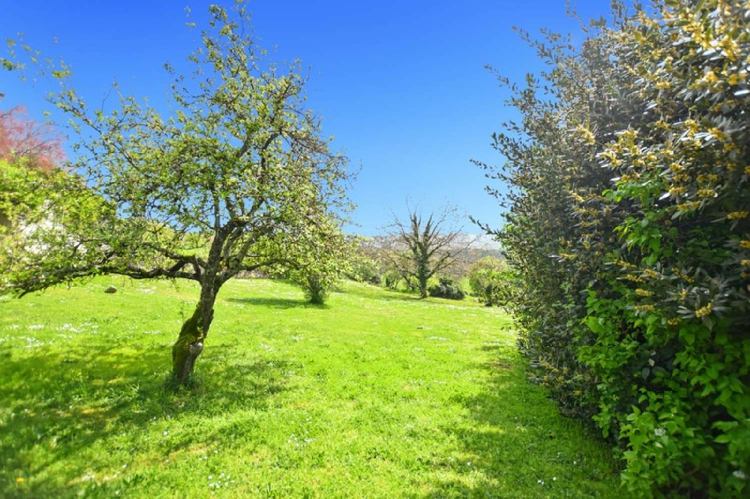 te koop boerderij Saint-Jean-de-Trézy Saône-et-Loire 5