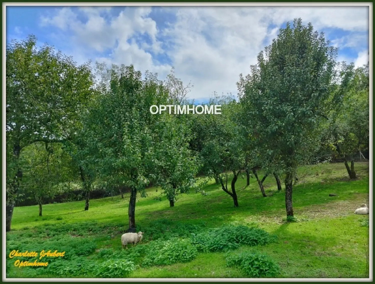  for sale farm Saint-Quentin-de-Chalais Charente 6