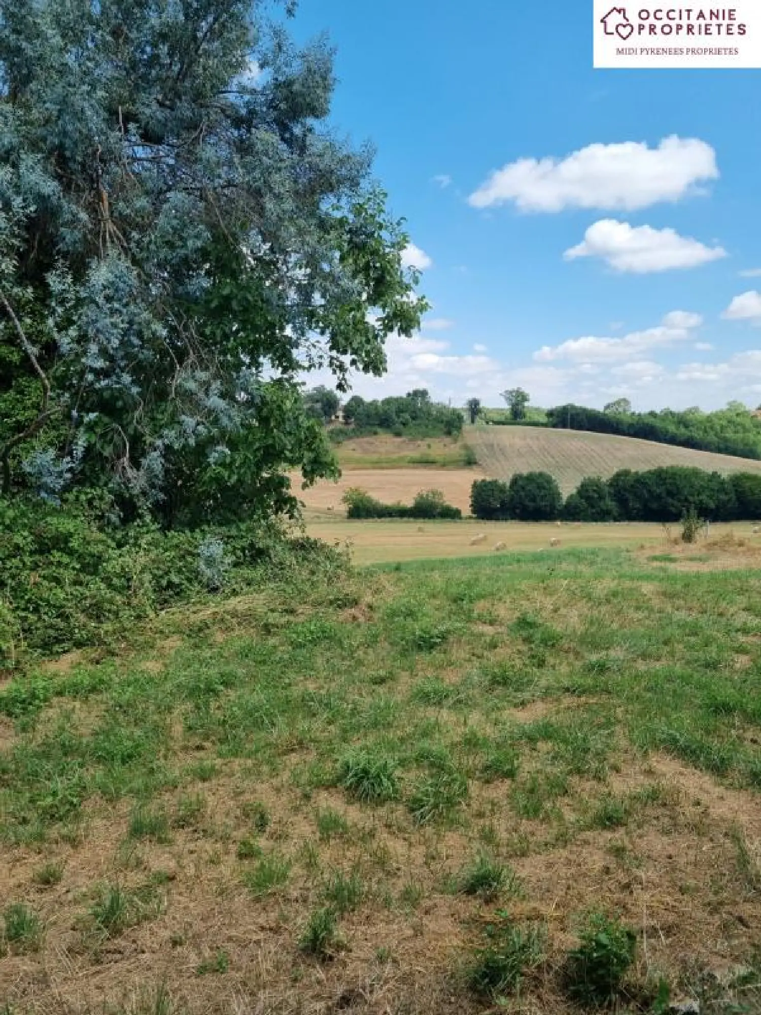  for sale farm Seissan Gers 5