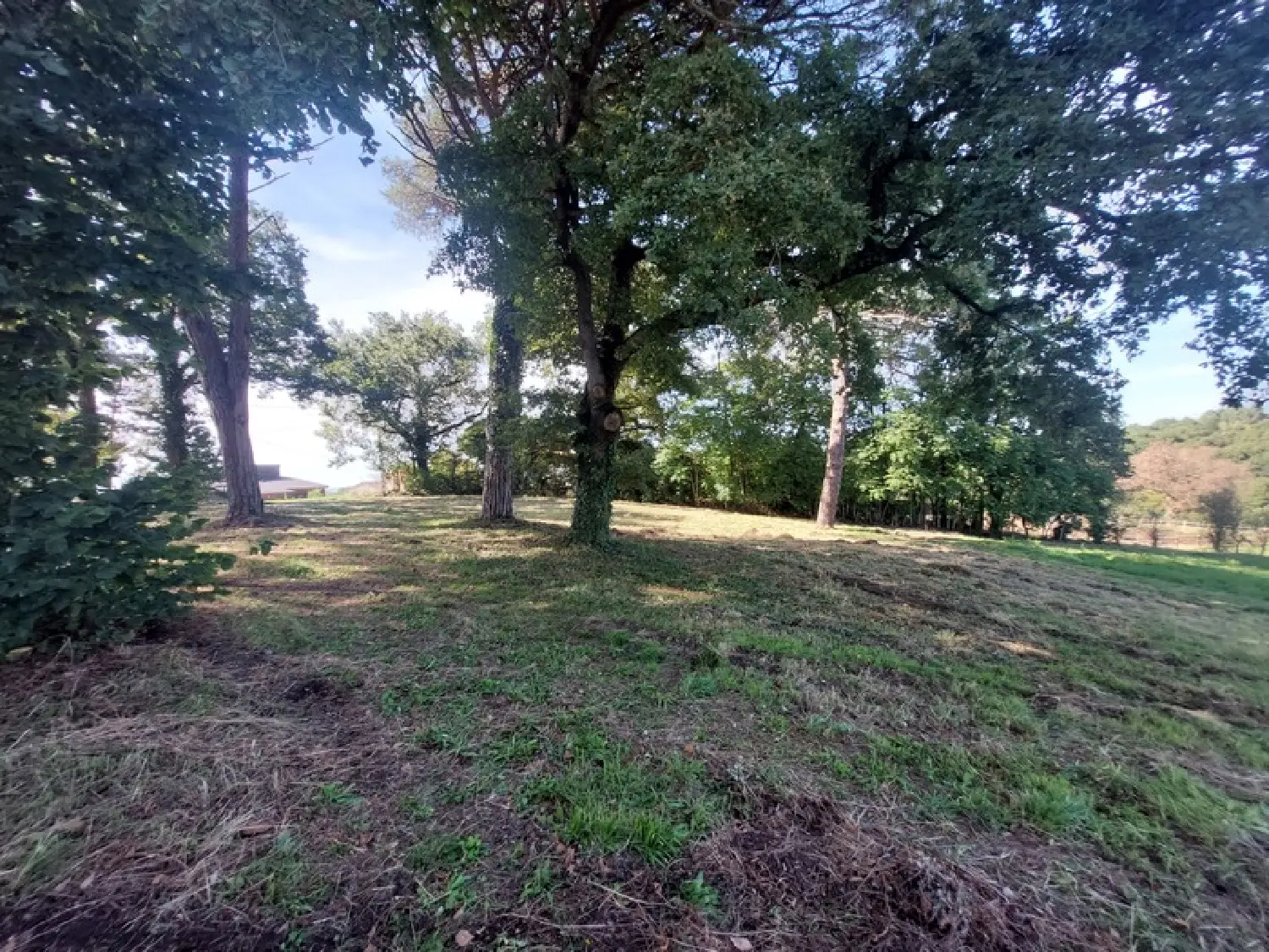  te koop boerderij Técou Tarn 5